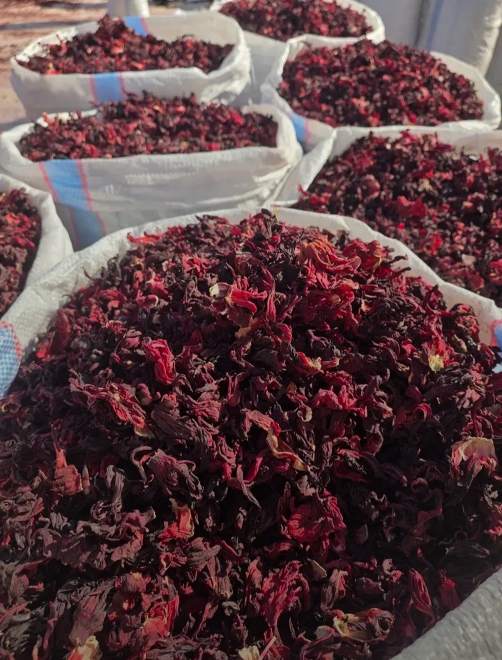 Hibiscus flower bulk export